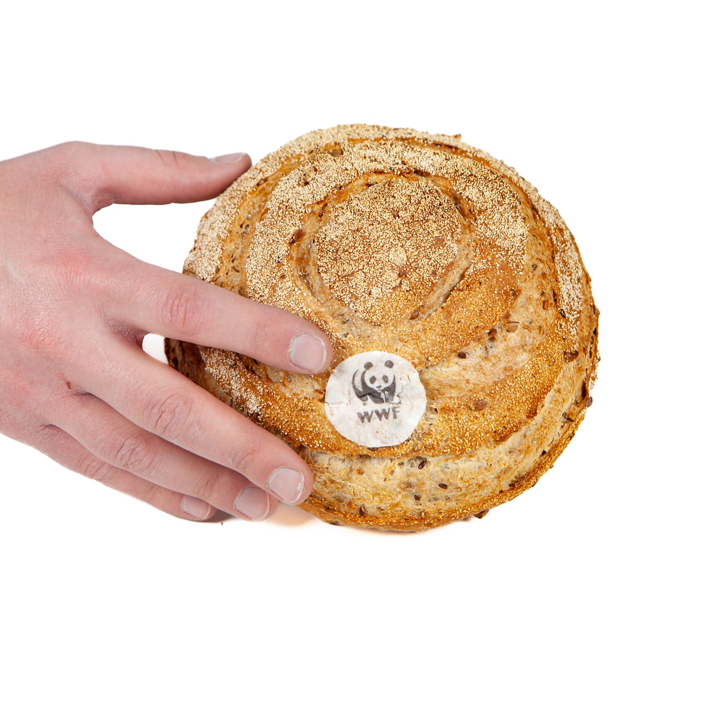 iPanda Pane WWF 350gr