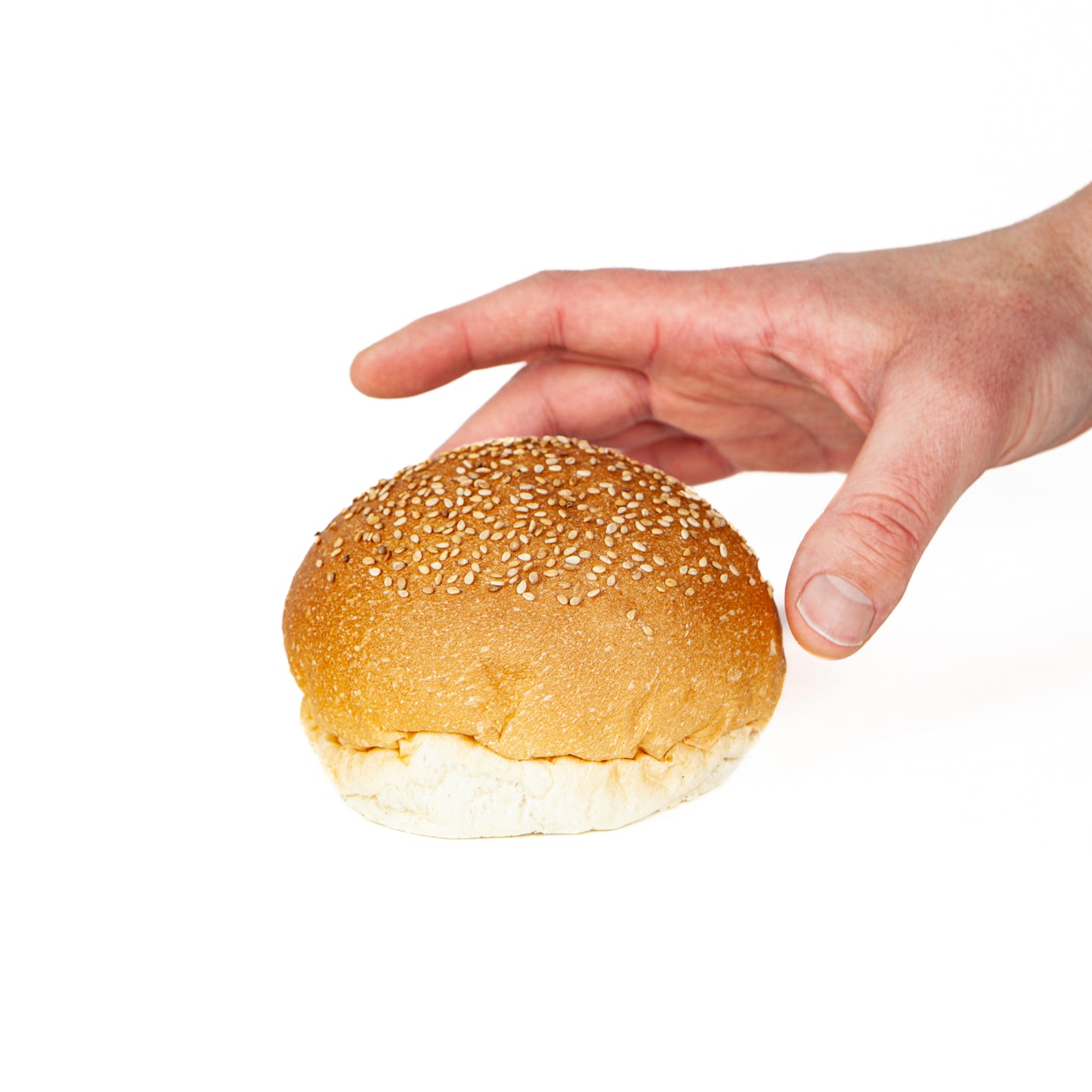iBun Panino Artigianale Per Burger Con Semi di Sesamo 100gr